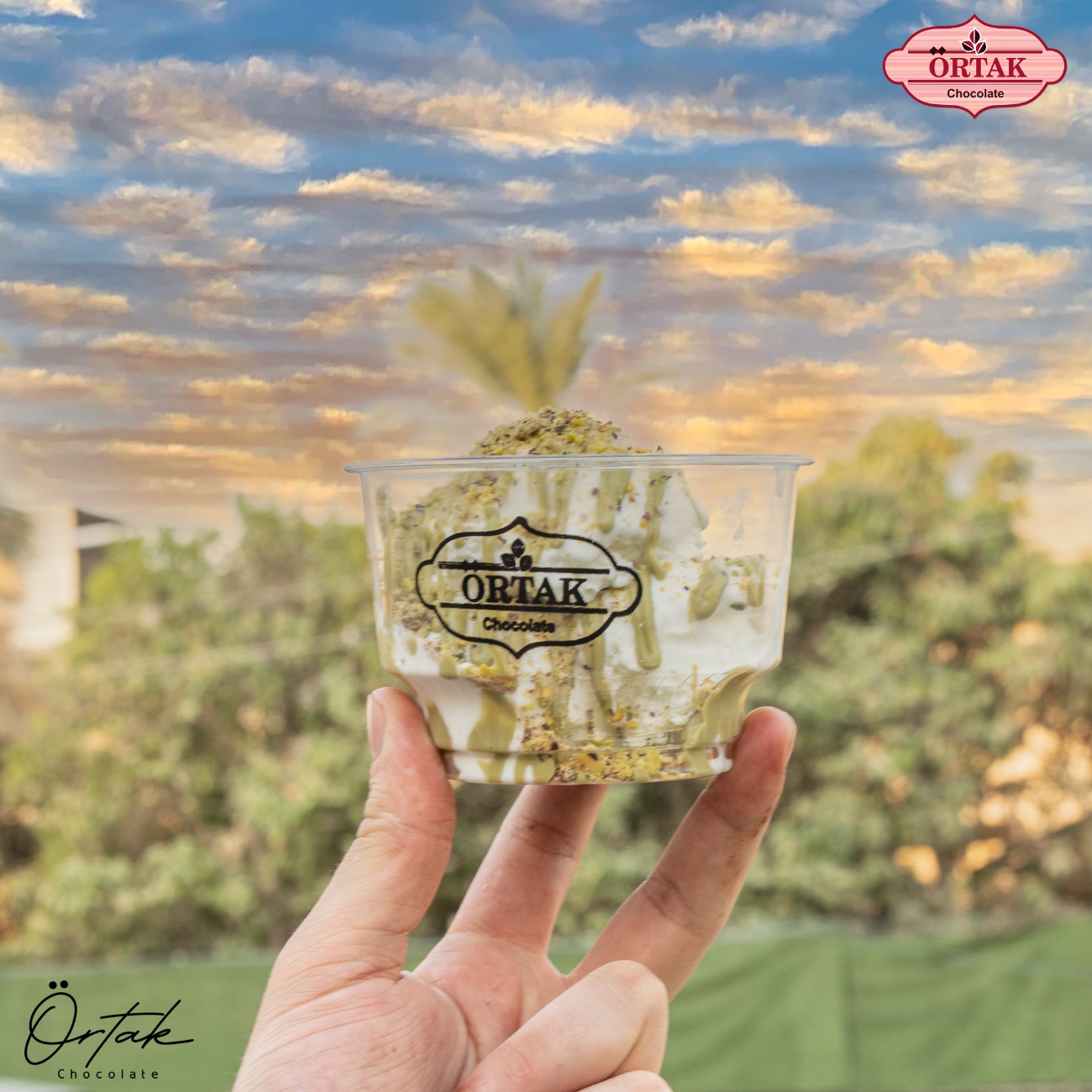 ايس بستاشيو