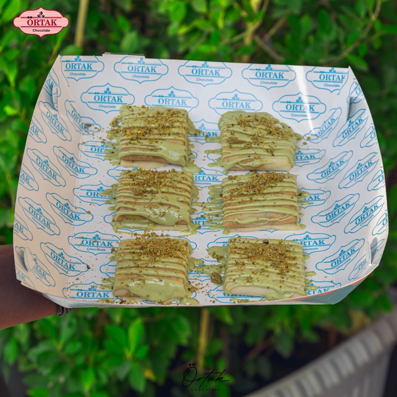 سوشي بستاشيو