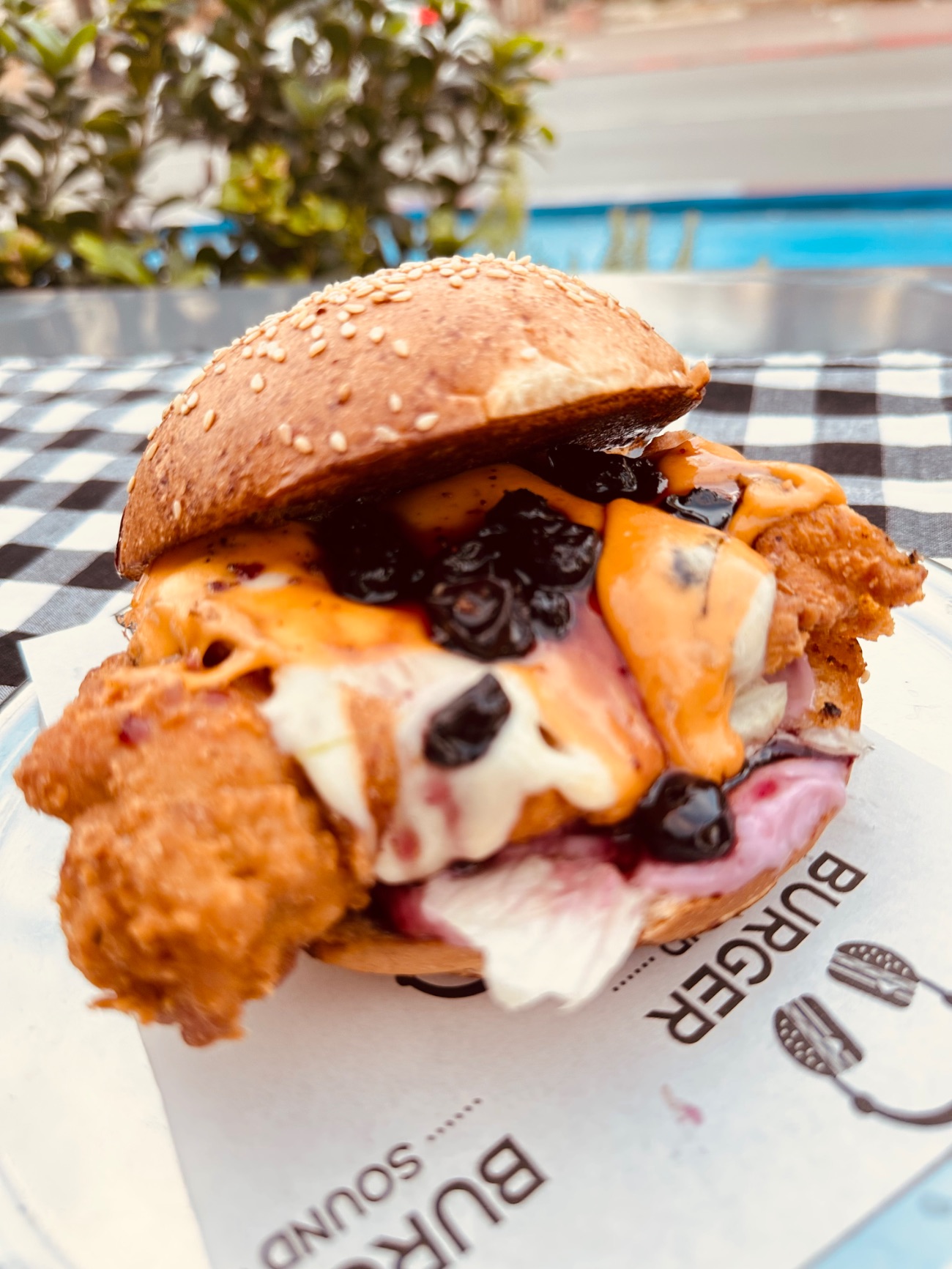 Chicken Berry (Yaban Mersinli)