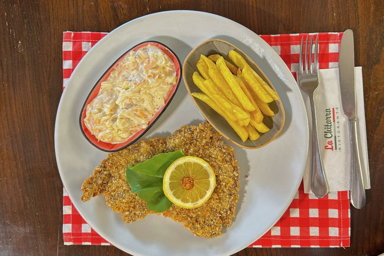 Dana Schnitzel - 