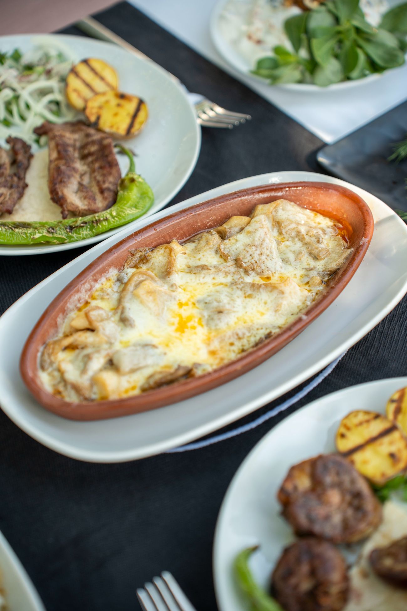 Kaşarlı İstiridye Mantarı - 