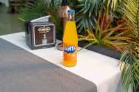 Cam Fanta