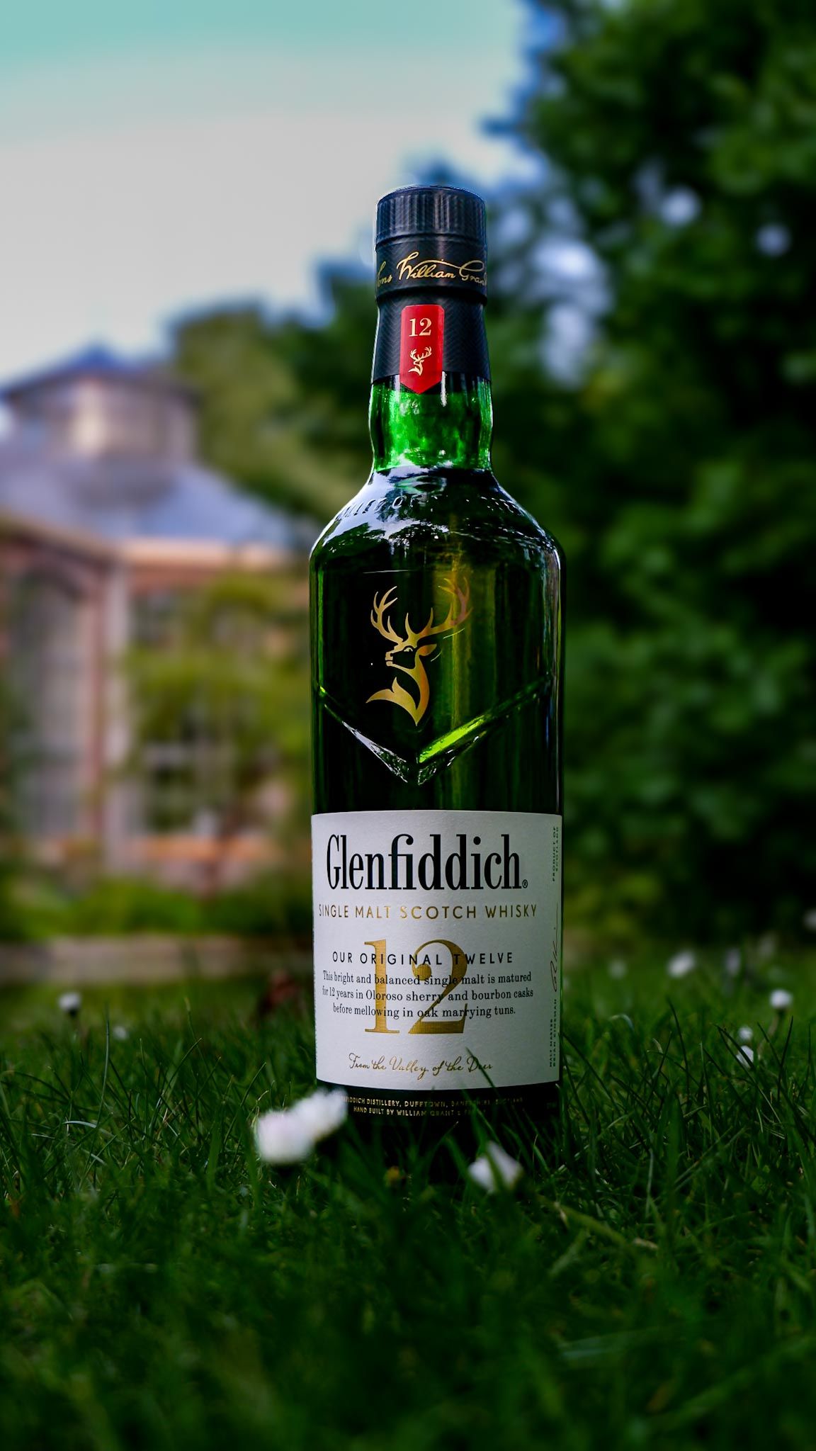 Glenfiddich 12 y.o. 70 cl - 