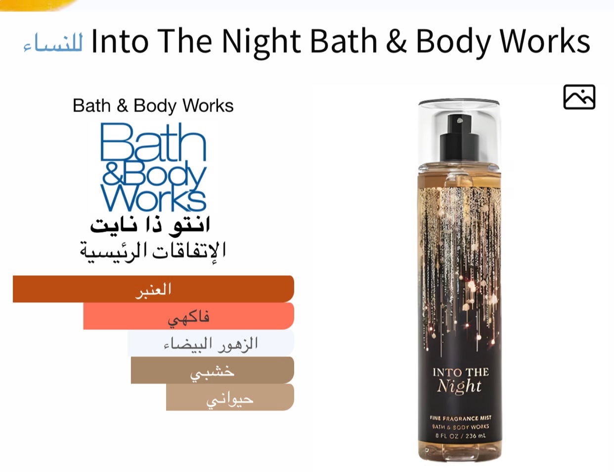 انتو ذا نايت