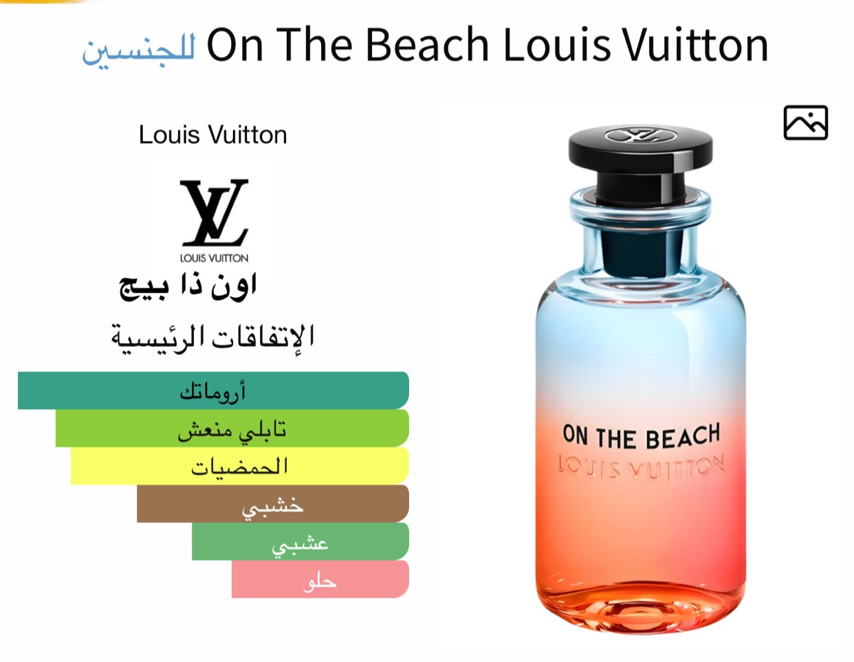 اون ذا بيج لويس فيتون