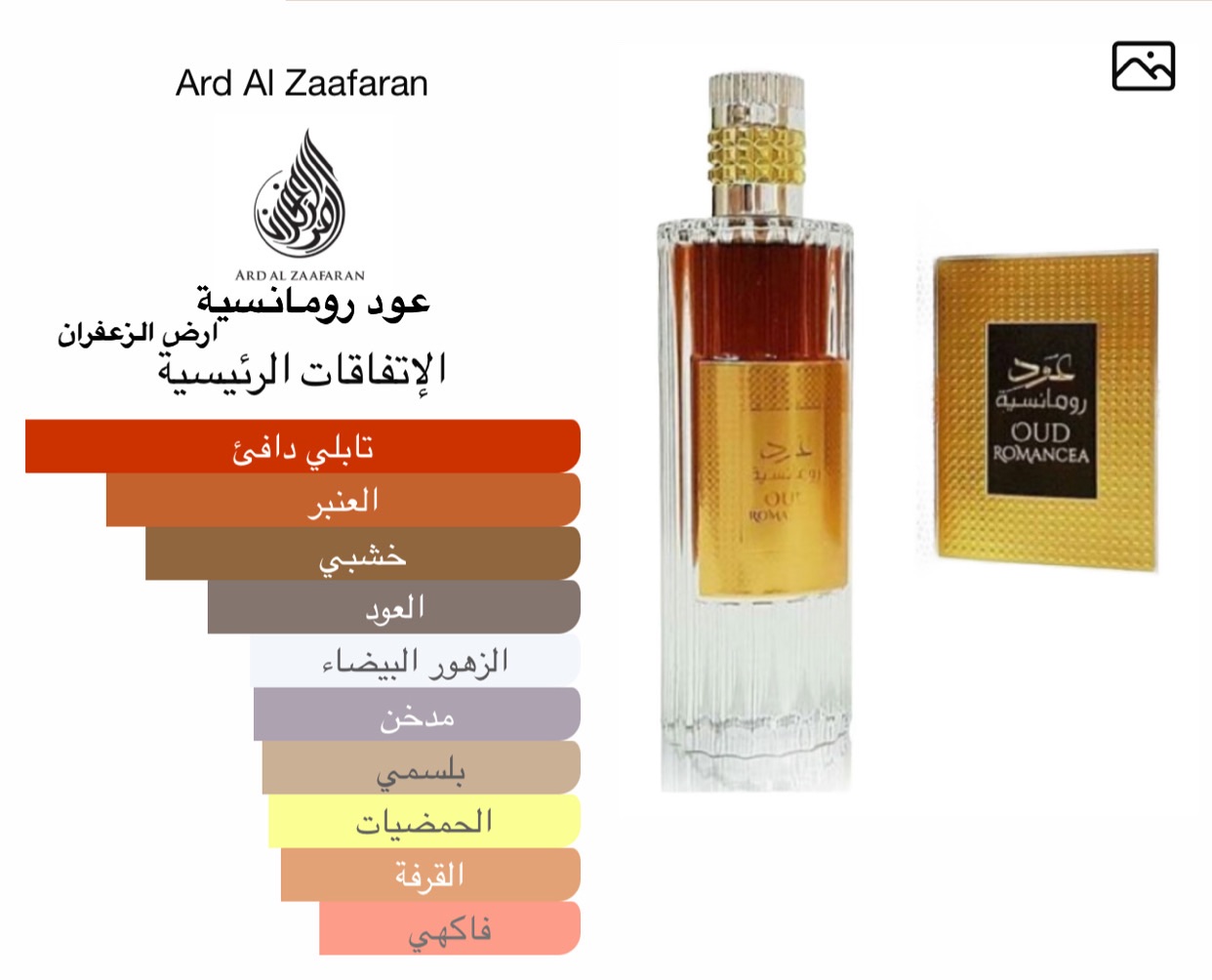 عود رومانسية_ارض الزعفران