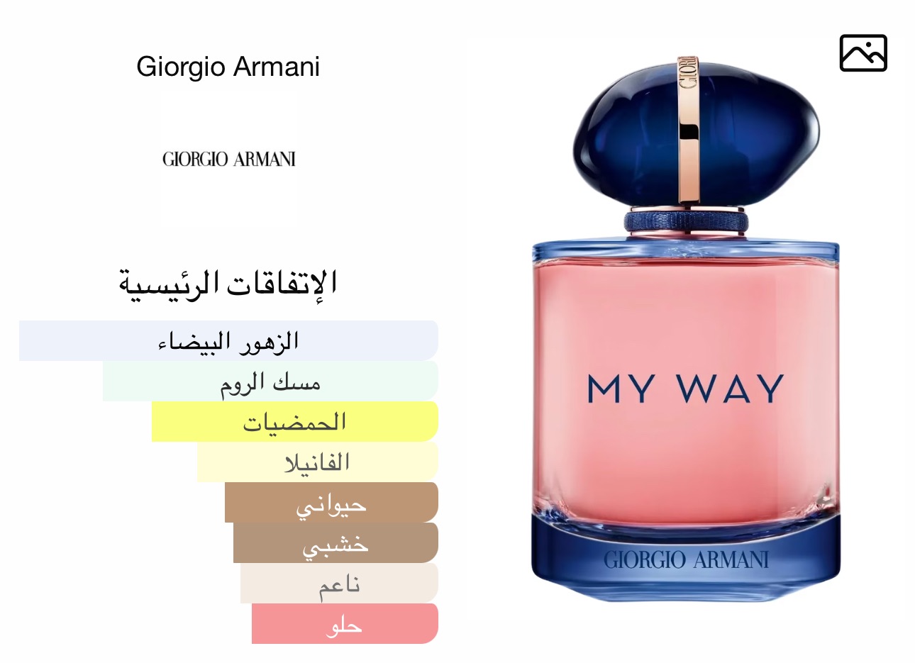 ماي وي انتيس