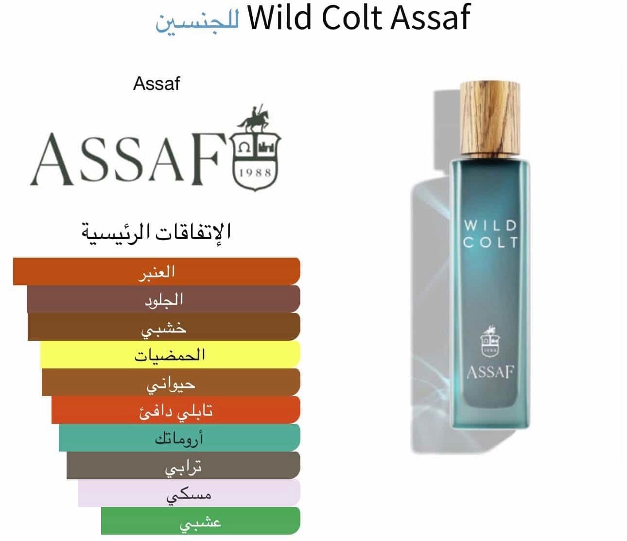 Wild Colt Assaf