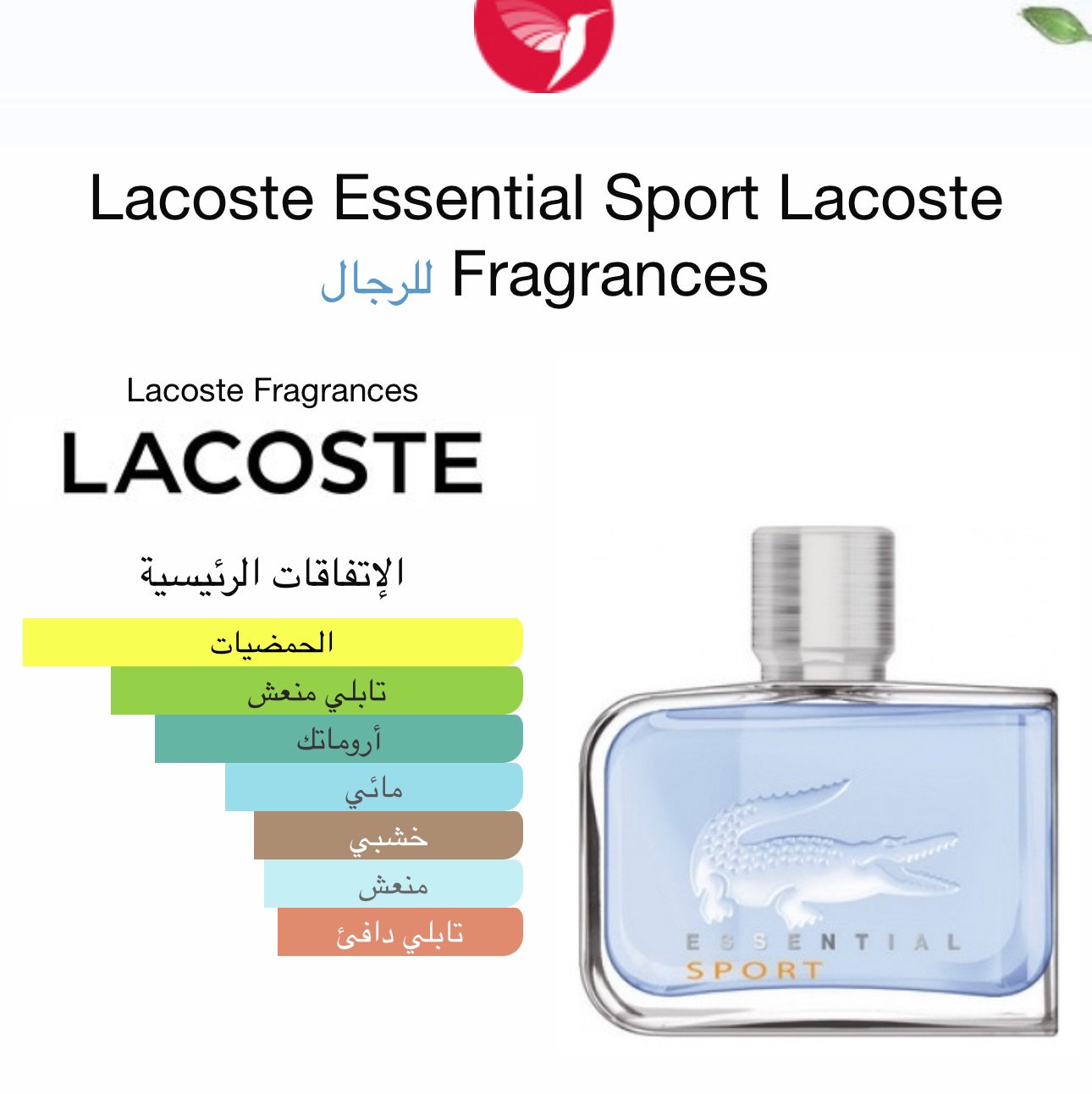 لاكوست اسينشل سبورت