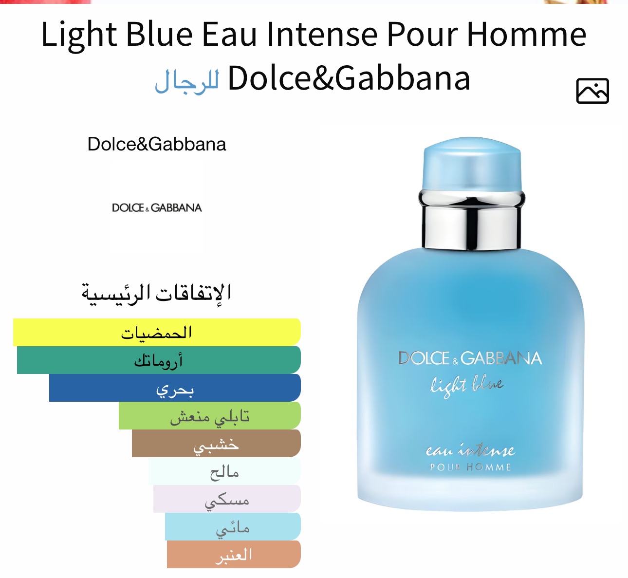 لايت بلو دولتشي غابانا