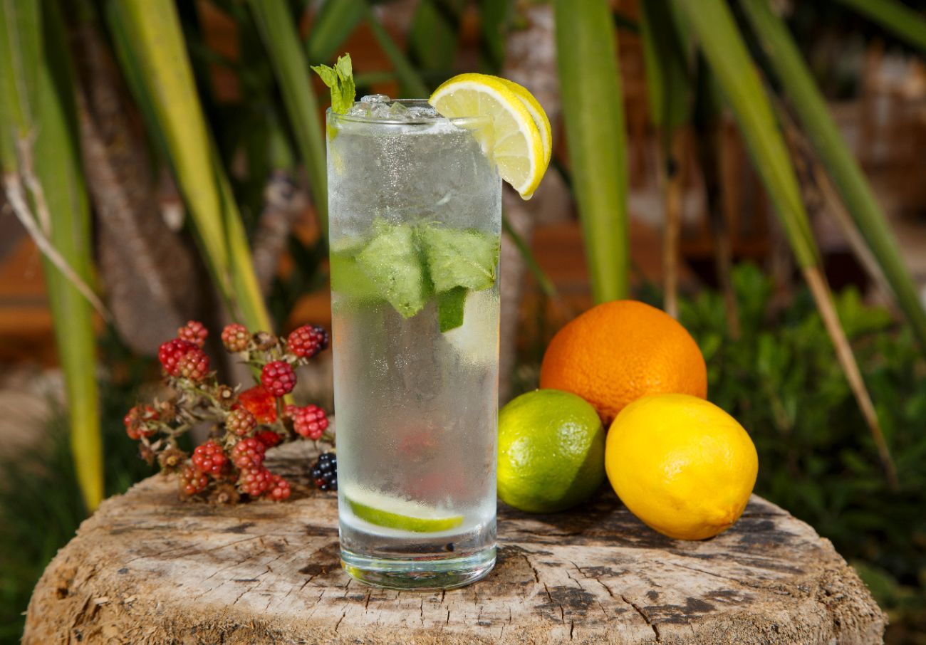 MOJITO - 