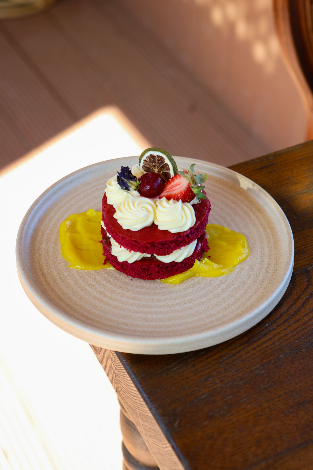 RODEO VELVET - 