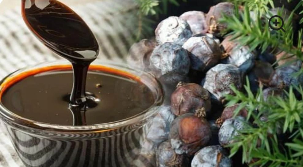 Orjinal Andız Pekmezi 1 kg - Andız, ardıç ağacı olarak da bilinen andız ağacının meyvesidir. Andız pekmezi yapımında bir çam türü olan iğne yapraklı andız ağacının kozalağından, dallarından ve meyvesinden yararlanılır. Üzüm ya da keçiboynuzu pekmezinin aksine, acımtırak bir tadı vardır.   Andız pekmezi astım, bronşit, soğuk algınlığına iyi gelir. Kuru öksürüğü hafifletir ve balgamın sökülmesini kolaylaştırır. Nefes darlığına