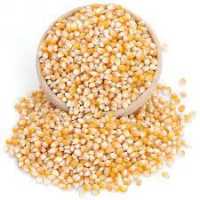 Cin Mısırı 1 kg