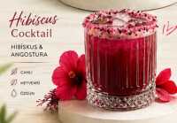 Hibiscus Cocktail