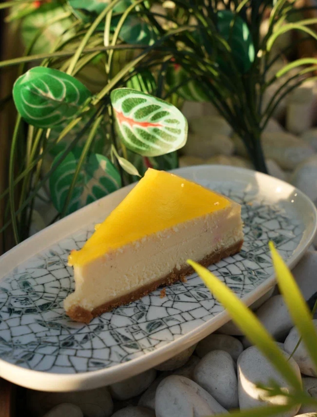Limonlu Cheesecake - 