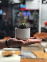 Çilekli Oreo Cup
