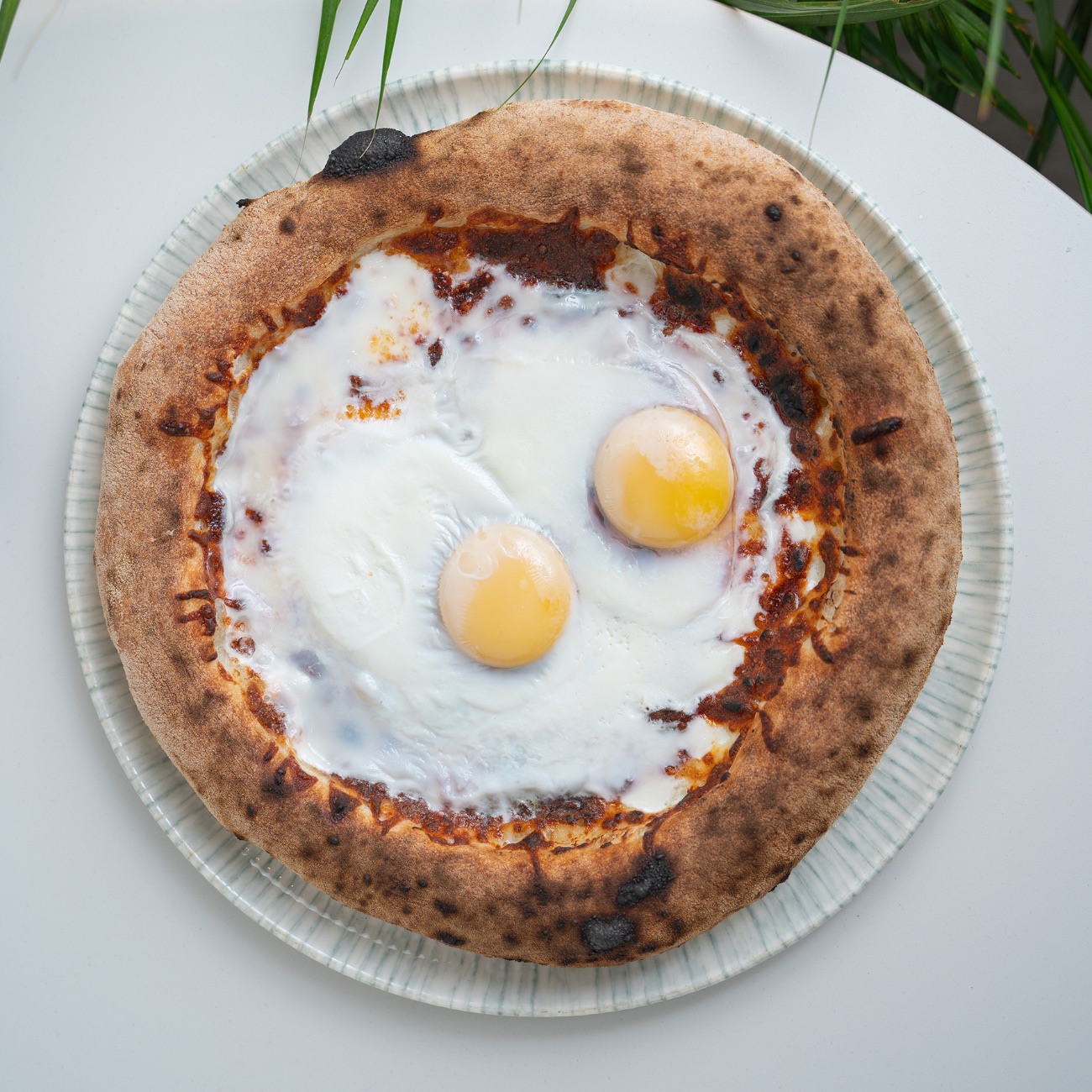 بيتزا البيض