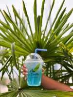 Red Bull Twist White - 