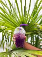 Redbull Twist Bluee - 