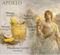 APOLLO