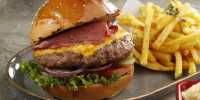 Oase Gurme Hamburger