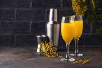 Mimosa
