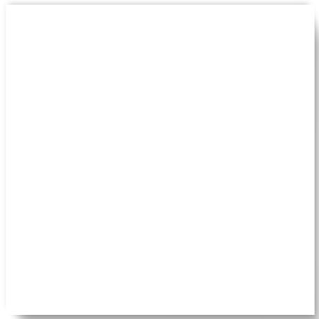 PS-001 SOLİD WHİTE - 