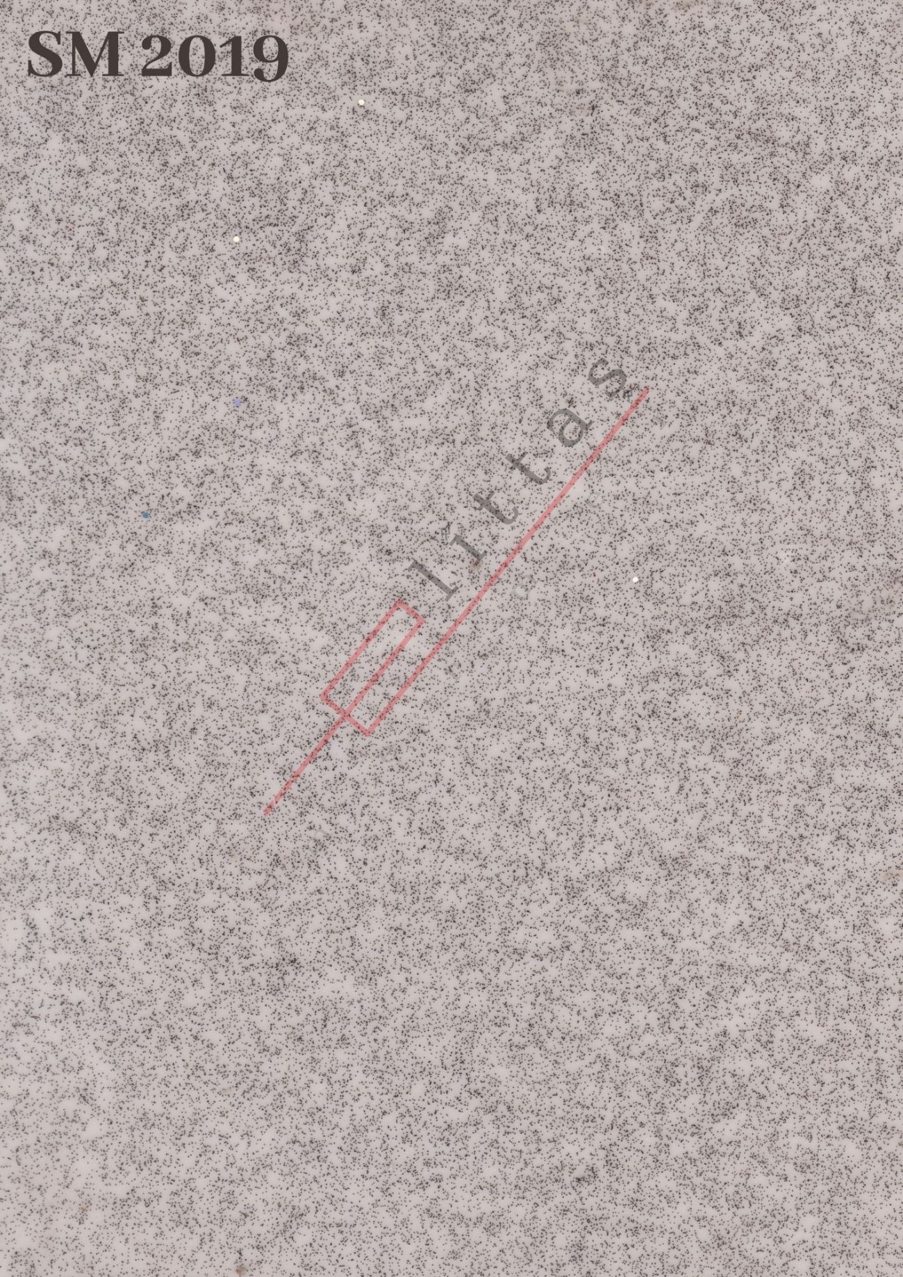 SM 2019 - 
