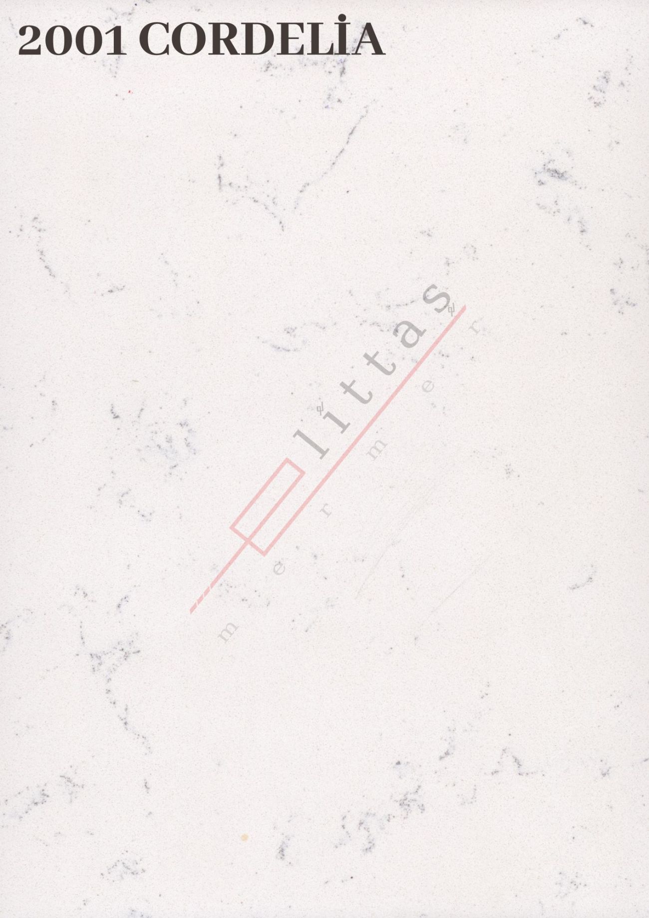 2001 CORDELİA