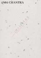 4801 CHANTRA