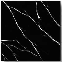 PS-204 CARRARA BLACK