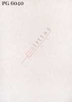 PG 6040