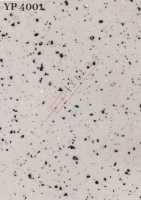 YP 4001