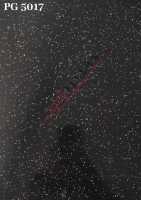 PG 5017