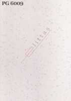 PG 6009