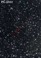 PG 5011