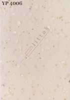 YP 4006