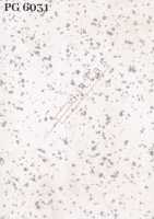 PG 6031