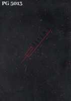 PG 5013