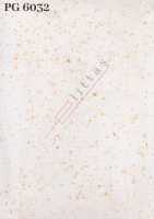 PG 6032