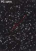 PG 5009