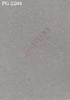 PG 5501