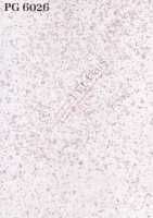 PG 6026
