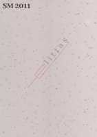 SM 2011