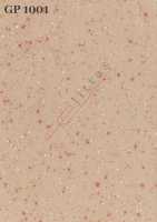 GP 1001