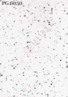 PG 6030