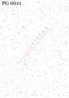 PG 6011