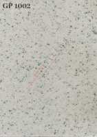 GP 1002