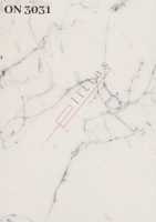 ON 3031